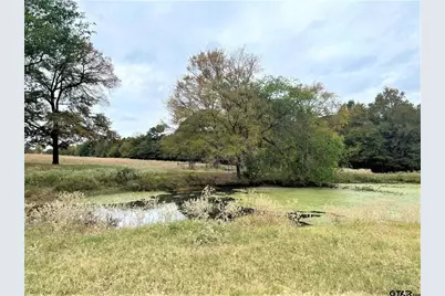 5386 US Hwy 271, Pittsburg, TX 75686 - Photo 13