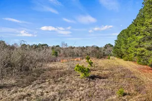 Tbd County Road 2865, Hughes Springs, TX 75656 - Photo 11