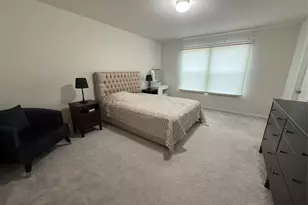 909 Cormorant St, Princeton, TX 75407 - Photo 19