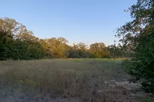 3325 FM3164, Gainesville, TX 76240 - Photo 9