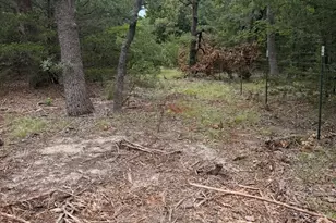 3325 FM3164, Gainesville, TX 76240 - Photo 5