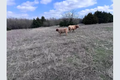 4081 Fm 2736 #D, Campbell, TX 75422 - Photo 1