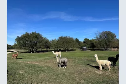 4081 Fm 2736 #D, Campbell, TX 75422 - Photo 3