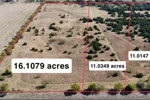 Tbd Cr-669, Blue Ridge, TX 75424 - Photo 1