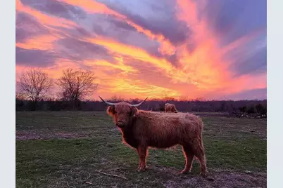 4081 Fm 2736 #C, Campbell, TX 75422 - Photo 9