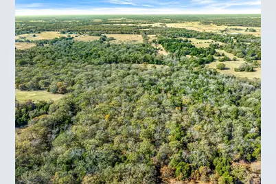30 (+/-) Acres Vz County Road 2145, Canton, TX 75103 - Photo 13