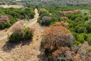 2095 FM1238, Iredell, TX 76649 - Photo 37