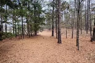 42 Cr 35720, Powderly, TX 75473 - Photo 19