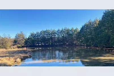 Tbdt Dugan Chapel Road, Bells, TX 75414 - Photo 5