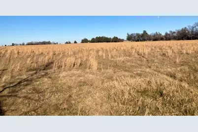 Tbdt Dugan Chapel Road, Bells, TX 75414 - Photo 23