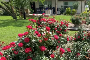 157 Eagle Pass, Royse City, TX 75189 - Photo 35