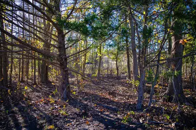 Tract 3 Fm 677, Saint Jo, TX 76265 - Photo 13