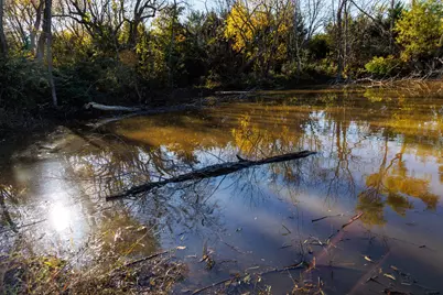 Tract 3 Fm 677, Saint Jo, TX 76265 - Photo 15
