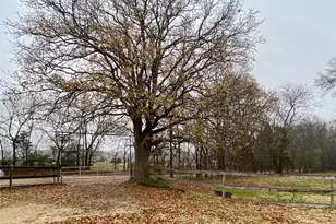 253 Cr 14750, Paris, TX 75462 - Photo 31