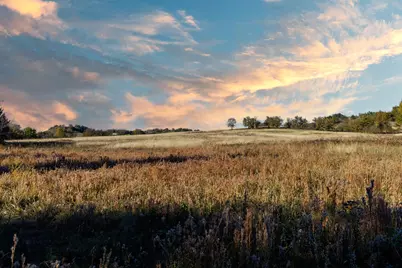 Tract 2 Fm 677, Saint Jo, TX 76265 - Photo 15