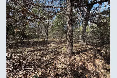 131 Lincoln Drive, Streetman, TX 75859 - Photo 13