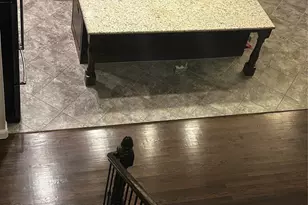 4461 Sapphire Dr, Frisco, TX 75034 - Photo 31