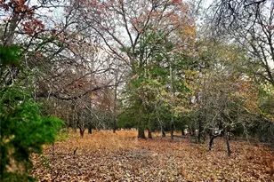 Lot 401 Mallard Way, LaRue, TX 75770 - Photo 7