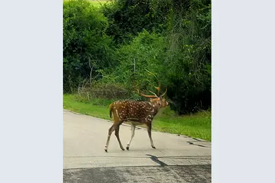 Lot 401 Mallard Way, LaRue, TX 75770 - Photo 27