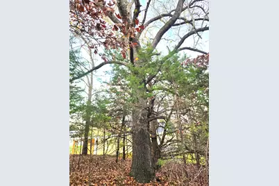 Lot 401 Mallard Way, LaRue, TX 75770 - Photo 9