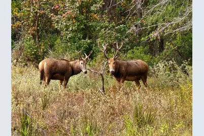 Lot 401 Mallard Way, LaRue, TX 75770 - Photo 15