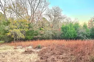 Lot 401 Mallard Way, LaRue, TX 75770 - Photo 3