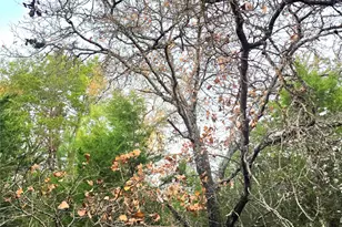 Lot 401 Mallard Way, LaRue, TX 75770 - Photo 35