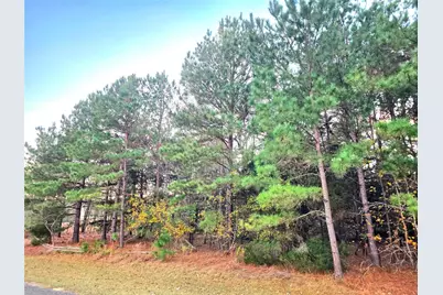 Lot 401 Mallard Way, LaRue, TX 75770 - Photo 1