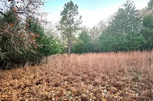 Lot 401 Mallard Way, LaRue, TX 75770 - Photo 37