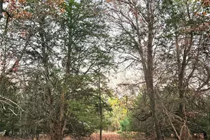 Lot 401 Mallard Way, LaRue, TX 75770 - Photo 33