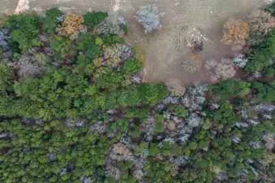 14770 Fm 315, Palestine, TX 75803 - Photo 5