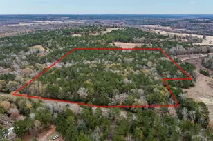 14770 FM 315, Palestine, TX 75803 - Photo 1