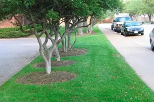 18333 Roehampton Dr, Dallas, TX 75252 - Photo 25