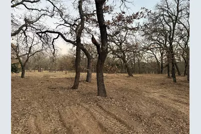 107 Rona Lane, Weatherford, TX 76088 - Photo 19