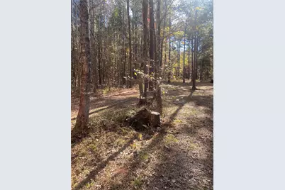 44.2 Acres State Hwy 64, Ben Wheeler, TX 75754 - Photo 5