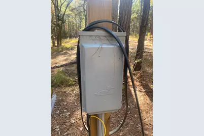 44.2 Acres State Hwy 64, Ben Wheeler, TX 75754 - Photo 13