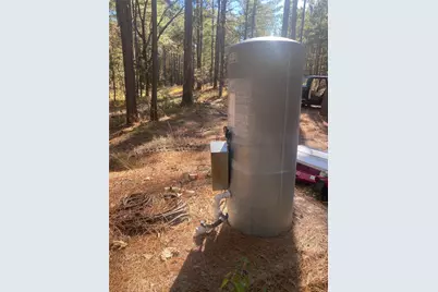 44.2 Acres State Hwy 64, Ben Wheeler, TX 75754 - Photo 9