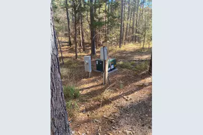 44.2 Acres State Hwy 64, Ben Wheeler, TX 75754 - Photo 11