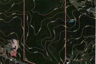 44 2 Acres State Hwy 64, Ben Wheeler, TX 75754 - Photo 1