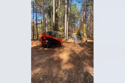 44.2 Acres State Hwy 64, Ben Wheeler, TX 75754 - Photo 17