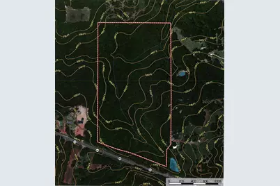 44.2 Acres State Hwy 64, Ben Wheeler, TX 75754 - Photo 1