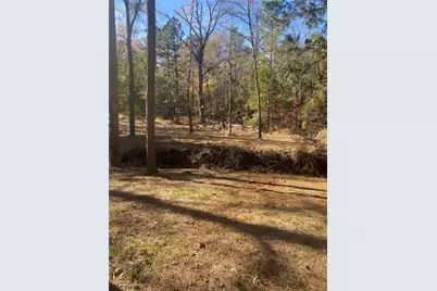 44.2 Acres State Hwy 64, Ben Wheeler, TX 75754 - Photo 15