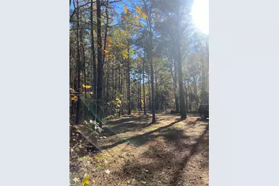 44.2 Acres State Hwy 64, Ben Wheeler, TX 75754 - Photo 3