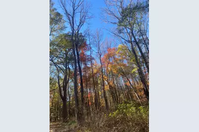 44.2 Acres State Hwy 64, Ben Wheeler, TX 75754 - Photo 7