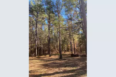 44.2 Acres State Hwy 64, Ben Wheeler, TX 75754 - Photo 3