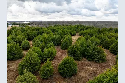 8389 County Road 502, Blue Ridge, TX 75424 - Photo 11