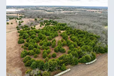 8389 County Road 502, Blue Ridge, TX 75424 - Photo 9