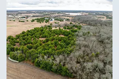 8389 County Road 502, Blue Ridge, TX 75424 - Photo 7