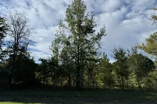 137 Cr 2362, Clarksville, TX 75412 - Photo 25