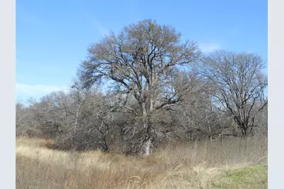 117 Pr 354 N, Hubbard, TX 76648 - Photo 5